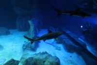 img_0127.jpg